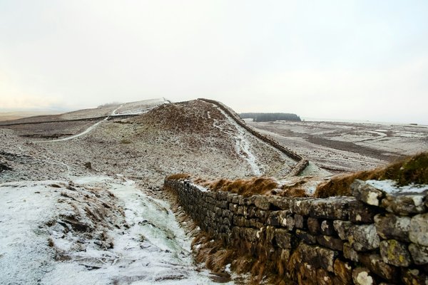 How can you arrange a guided tour of the Roman forts along Hadrian's Wall?